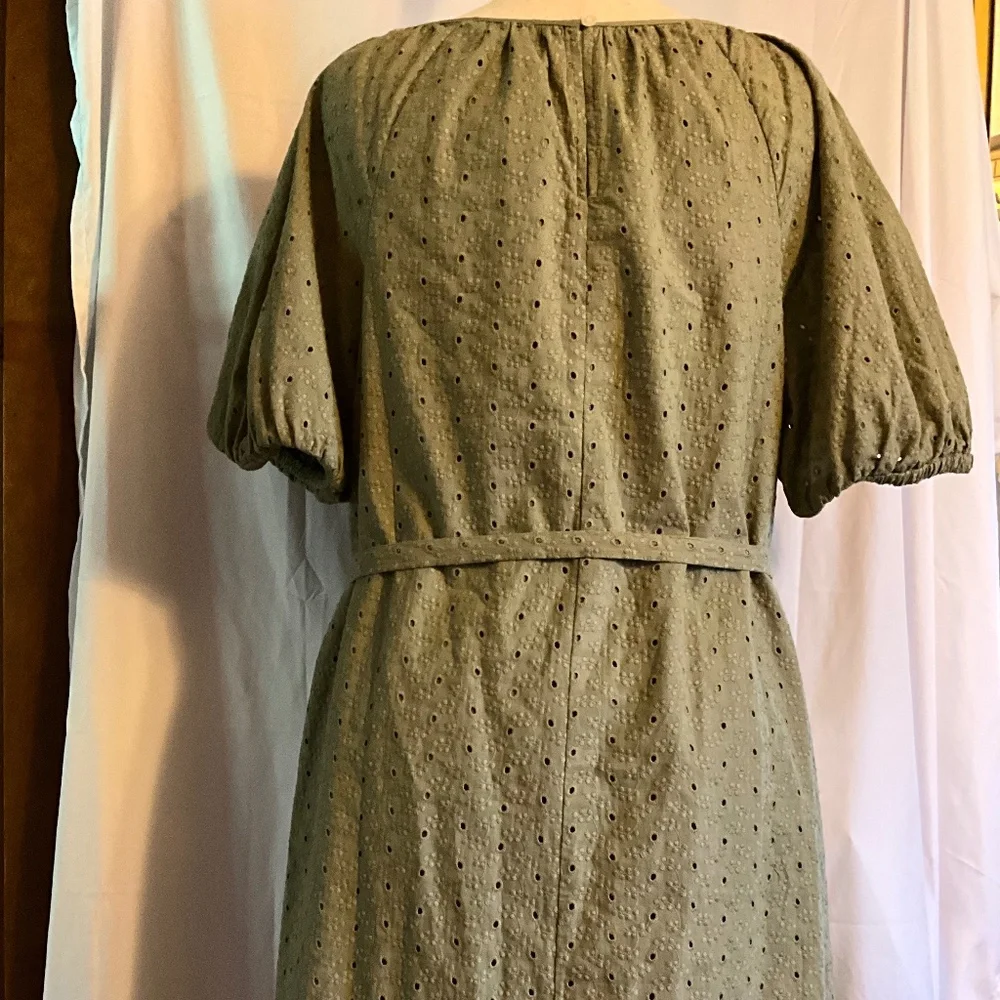 NWT Loft Outlet by Ann Taylor Dress XL Sage Green Eyelet - Picture 4 of 5